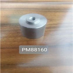 PM88160.jpg